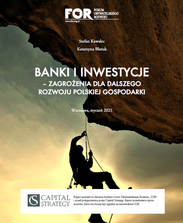 Banki i inwestycje: zagrożenia dla dalszego rozwoju polskiej gospodarki
